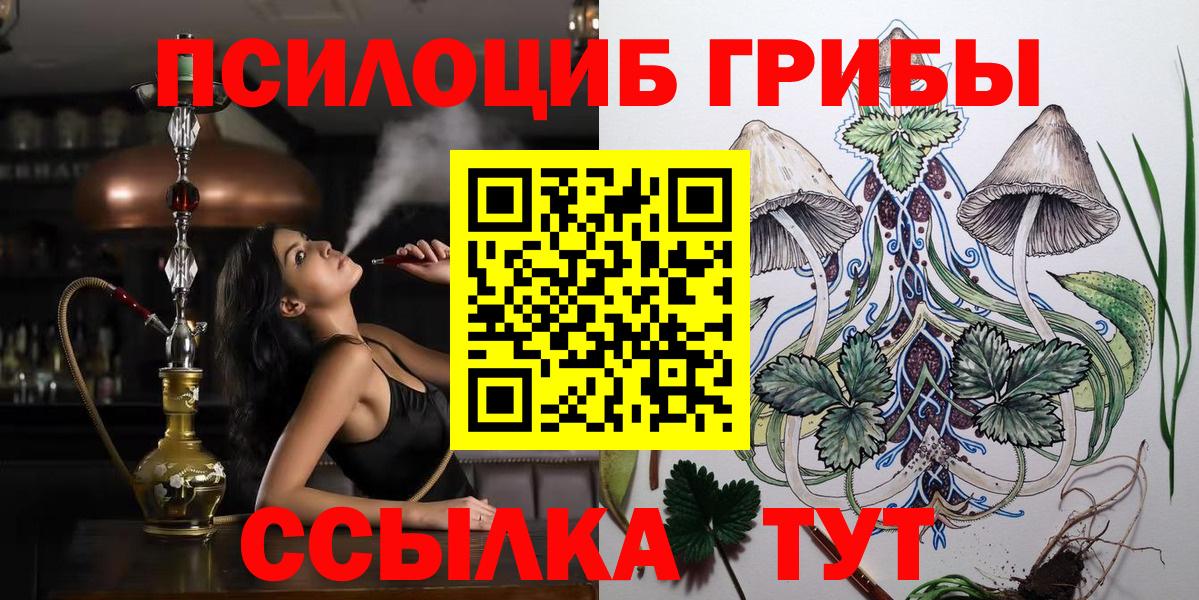 Галлюциногенные грибы MAGIC MUSHROOMS  Вход с VPN  Салават 