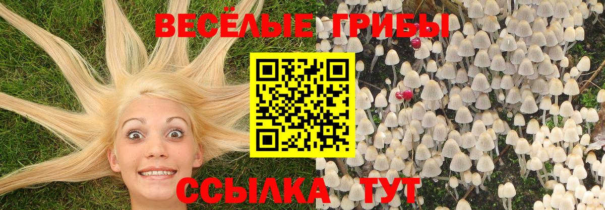 Псилоцибиновые грибы Magic Shrooms Салават